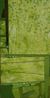 Lime Forest.jpg